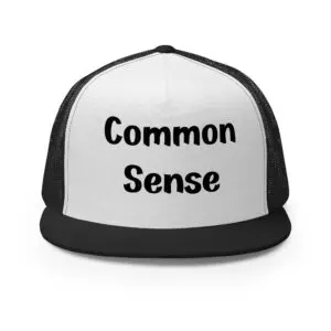 common sense trucker cap silver black and white